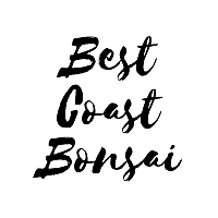 Logo: Best Coast Bonsai